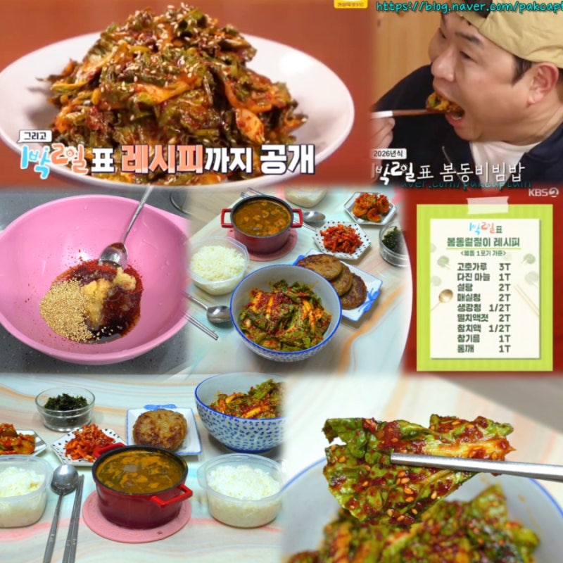 1박2일 봄동겉절이 양념 레시피 봄동무침 비빔밥 만드는법