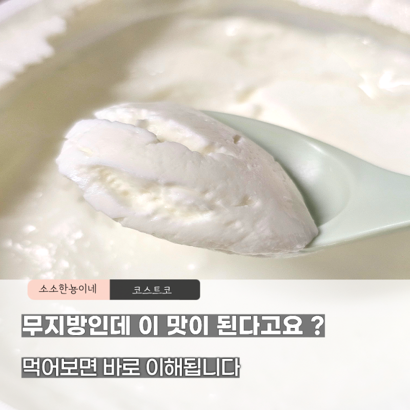 무지방인데 이 맛 실화입니까? 코스트코 커클랜드 그릭요거트 현실 후기