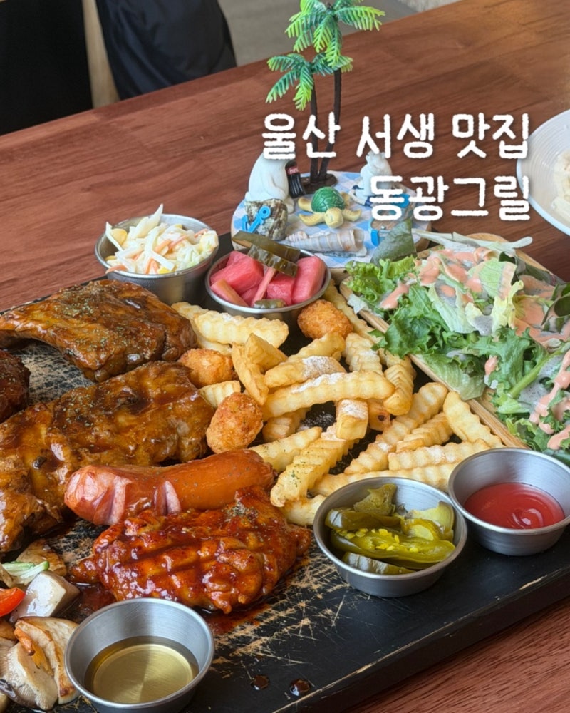 사진 5