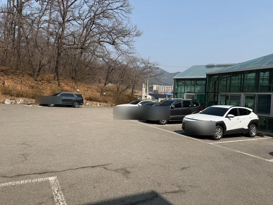 보리촌곤드레 사진 2