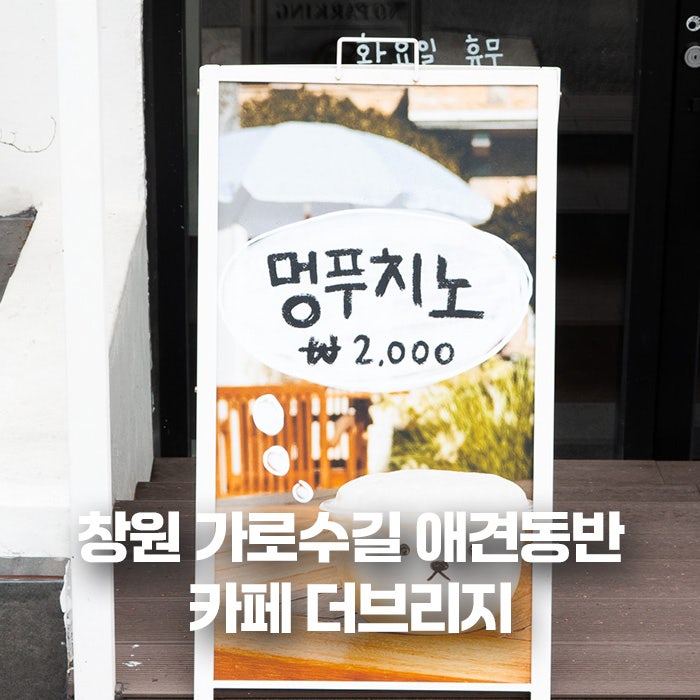 창원 가로수길 애견동반 카페 더브리지 (브런치도 유명함)