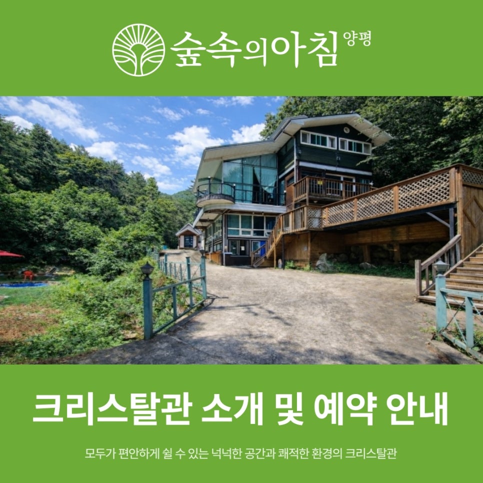 숲속의아침 사진 1