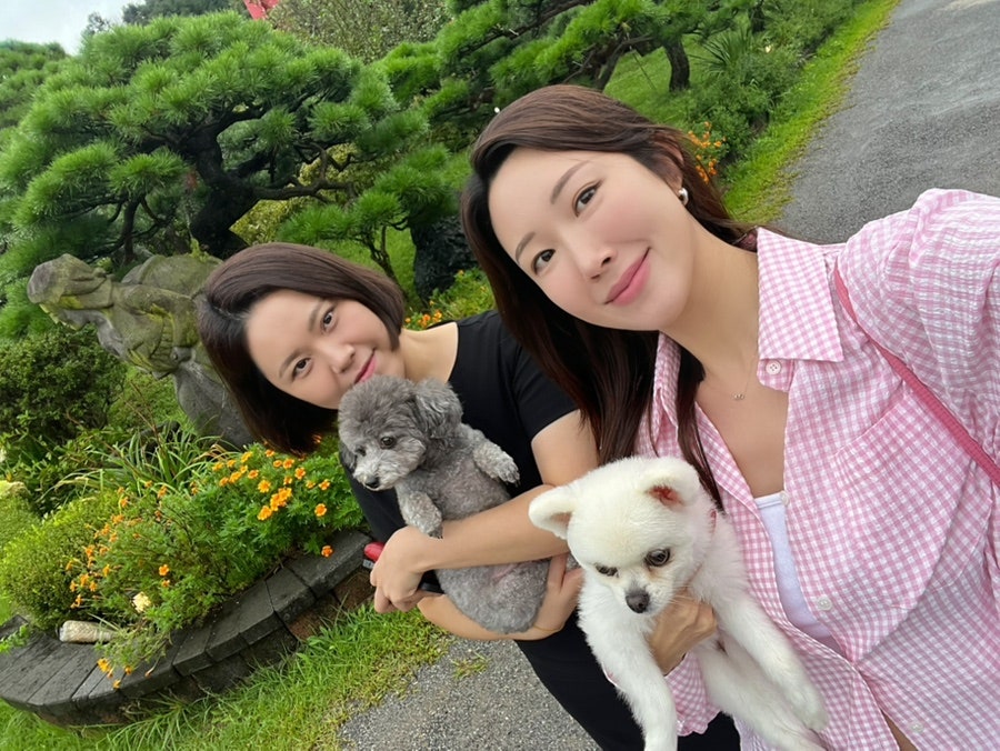 까망봉다리애견펜션 사진 5