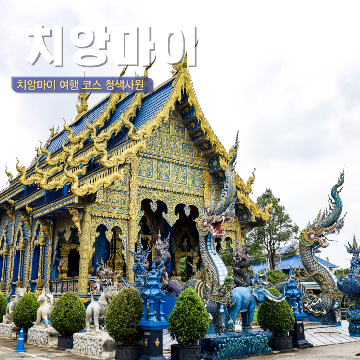  태국 치앙마이 투어 치앙라이 청색사원 블루템플 입장료 복장 아이스크림