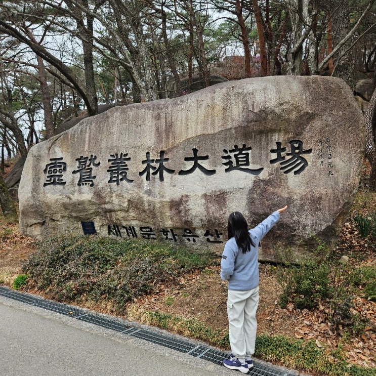  유네스코 세계문화유산 통도사 양산가볼만한곳 양산벚꽃 산책