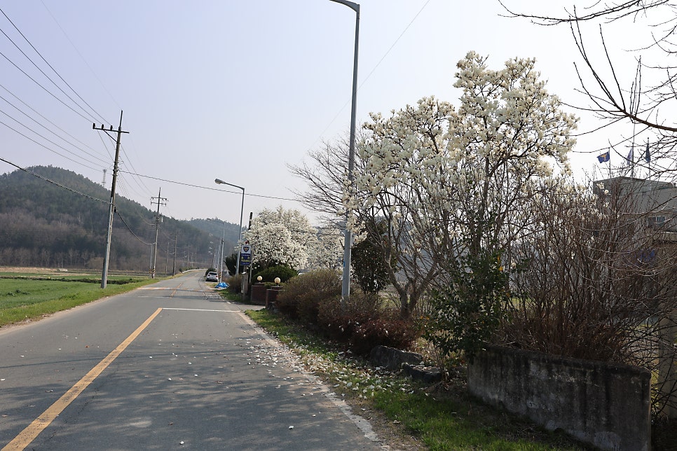 옴천치안센터 사진 2