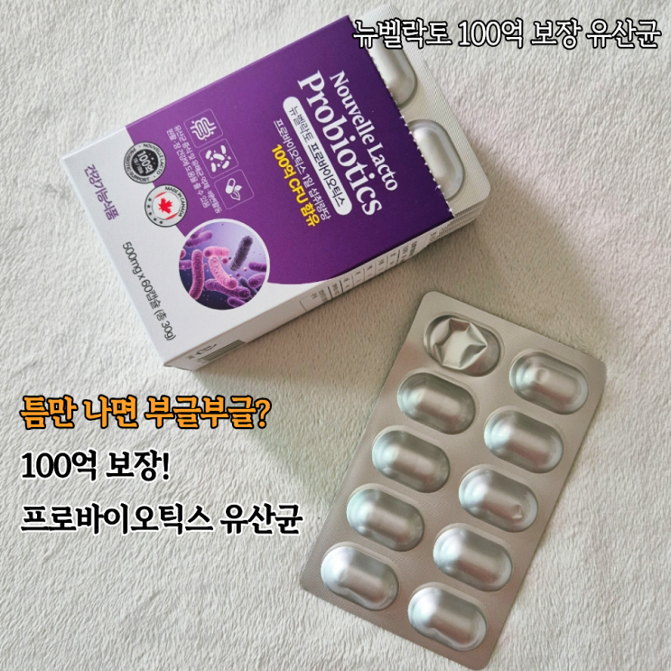  100억 유산균으로 챙기는 장건강 아이프라우드 뉴벨락토 프로바이오틱스