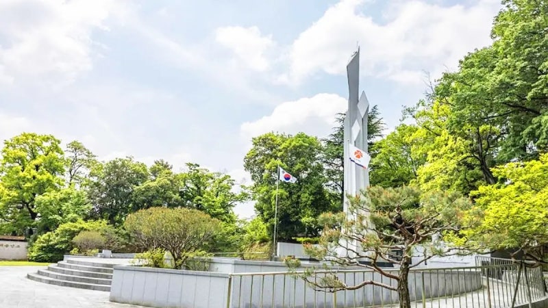 사진 5