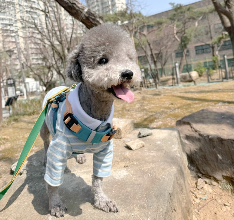 사진 5