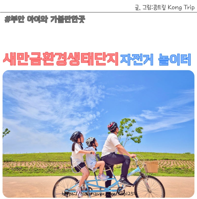 사진 3