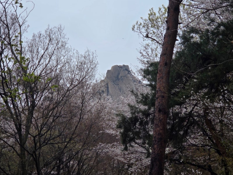 도봉산 등산초보 마당바위코스 - 비 온 직후 산행 (도봉산역에서 마당바위까지)