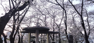 사진 7