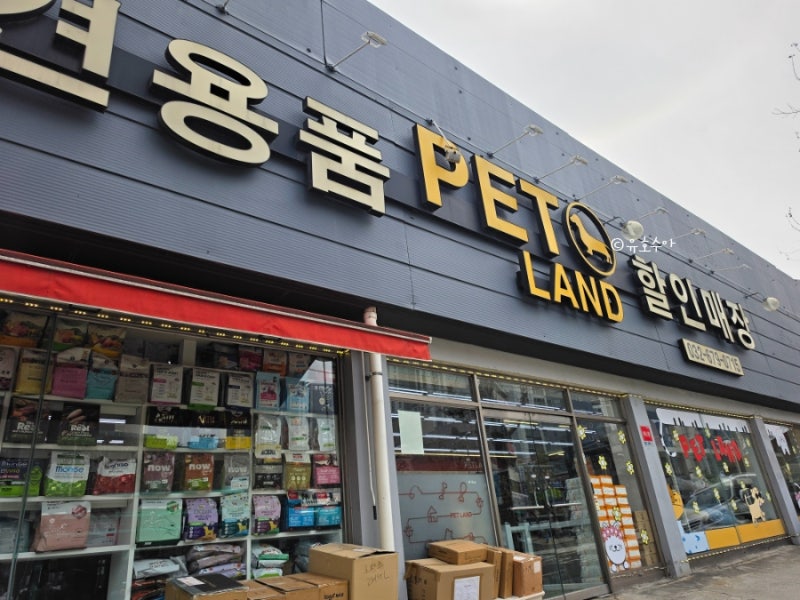 사진 7