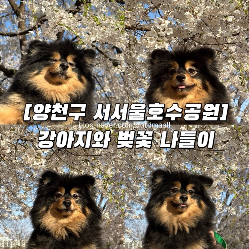 사진 3