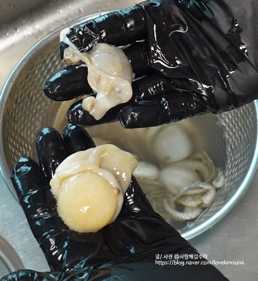 알쭈꾸미 손질 제철 주꾸미 손질법