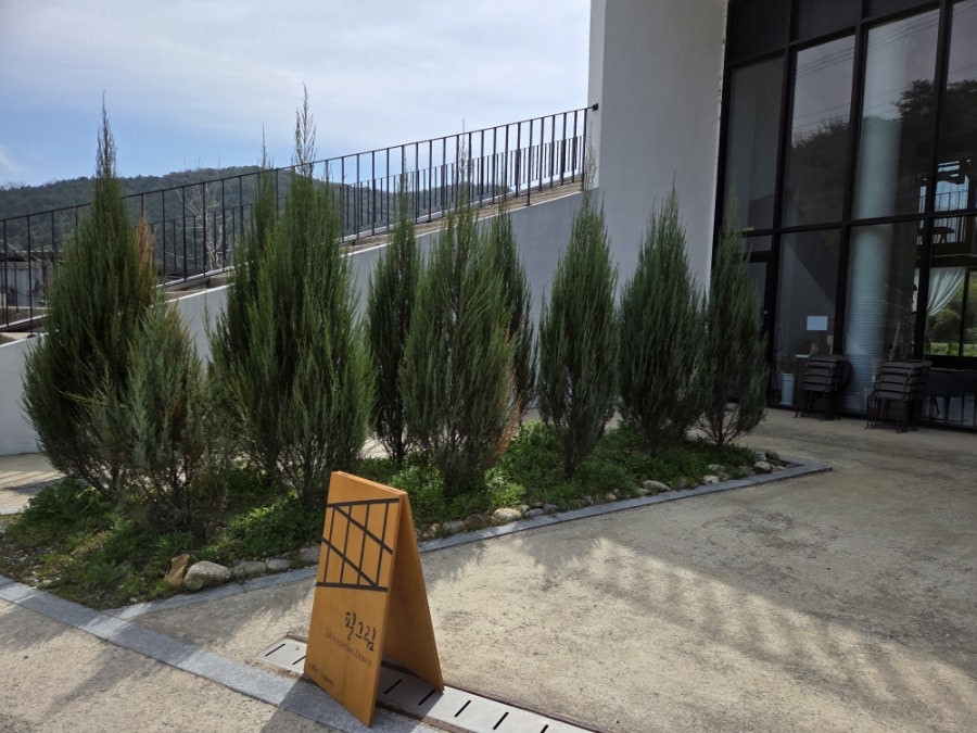 청자연 사진 1
