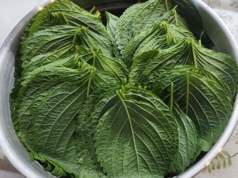 된장 깻잎 장아찌 만드는 법