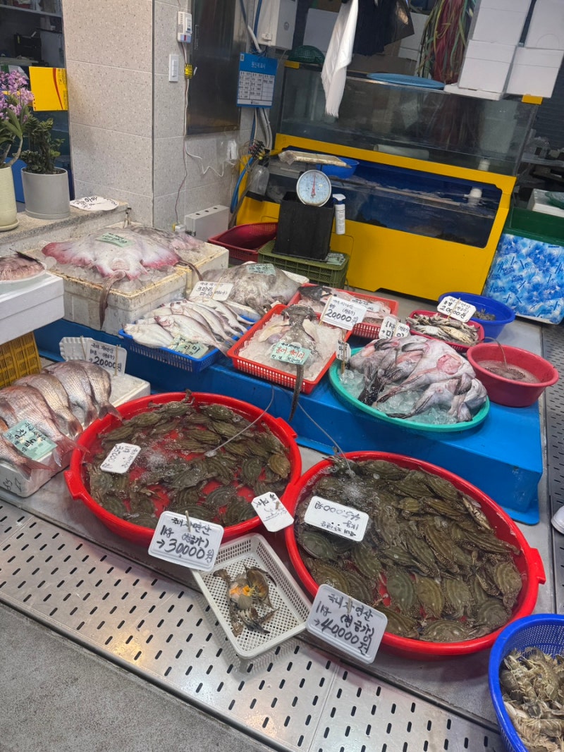 대명항 쭈꾸미 시세 총정리 김포 대명항 해산물 시세 + 리모델링 후기