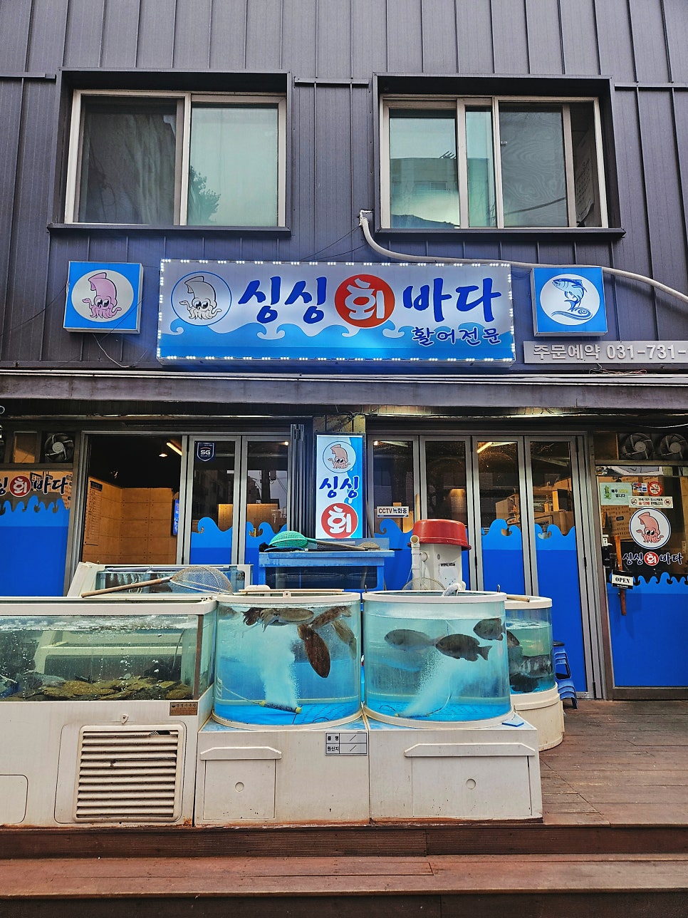 싱싱회바다 사진 1