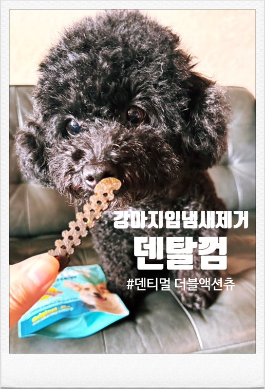 강아지입냄새 고민이라면? 강아지덴탈껌 덴티멀 더블액션츄오리지널로 치석제거까지