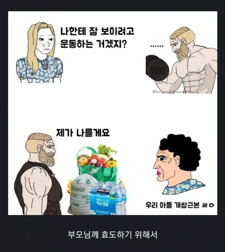  남자들이 헬스 하는 이유.jpg
