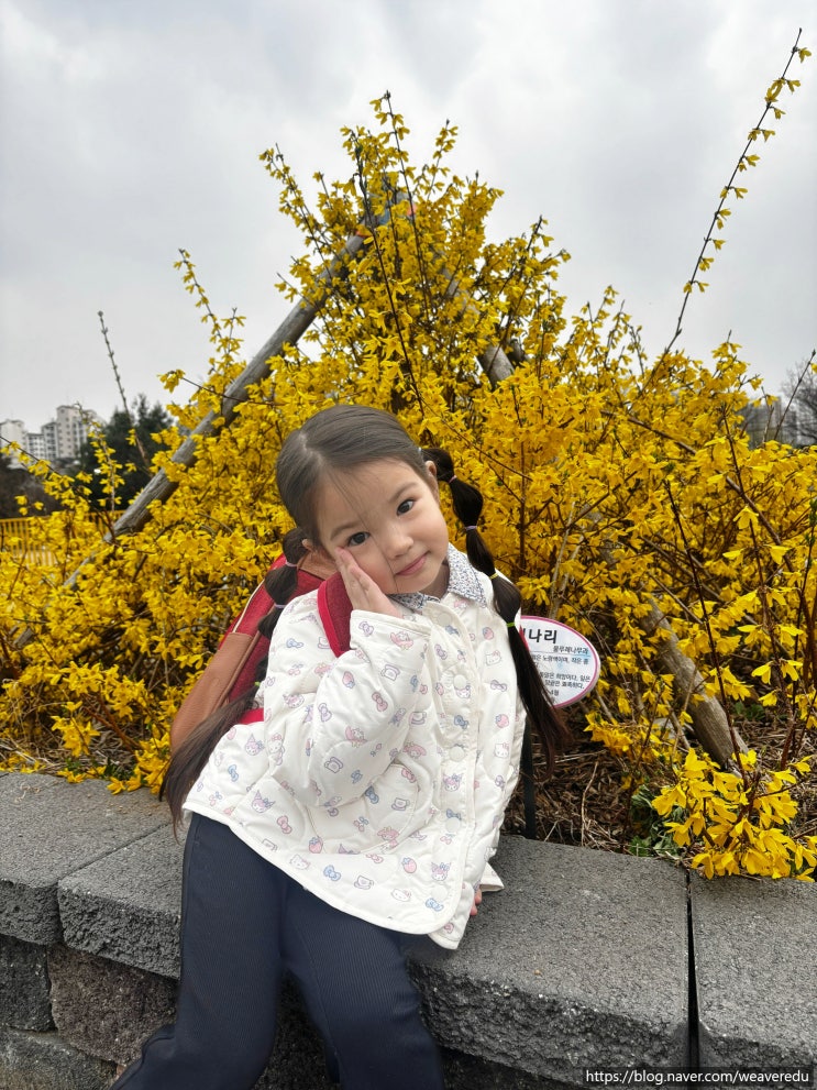 파주 운정 꽃놀이 개나리/벚꽃 주말 일상