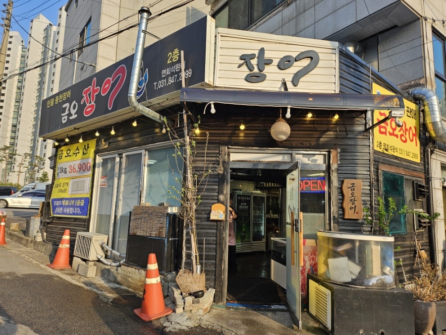 금오장어 사진 1
