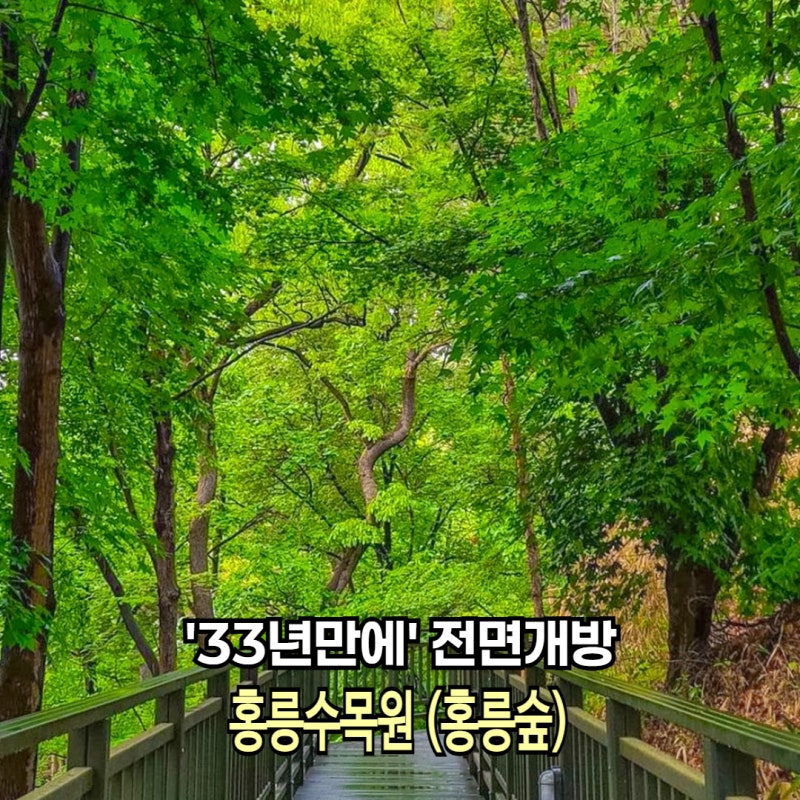 "33년만에 전면 개방" 서울 나들이 추천 홍릉수목원 홍릉숲 예약