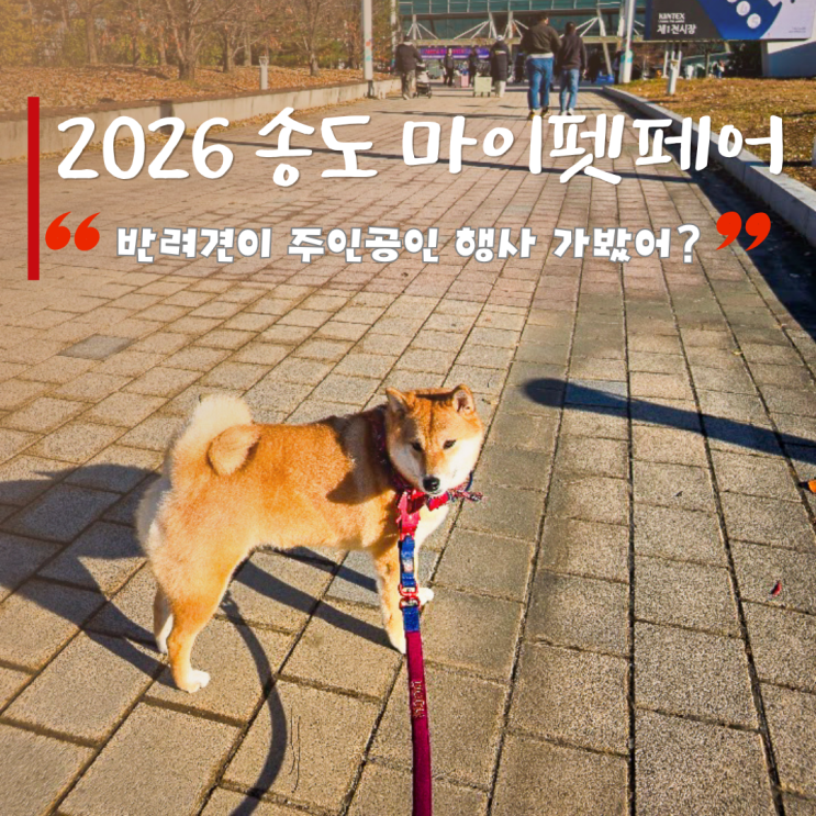  송도 마이펫페어 2026: 처음 가는 행사라 더 꼼꼼하게 준비했다