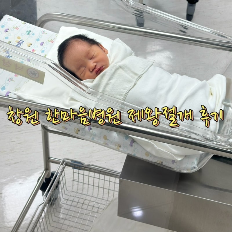 창원 한마음병원 제왕절개 후기, 창원 한마음병원 신생아 면회, 창원 한마음병원 다인실 비....