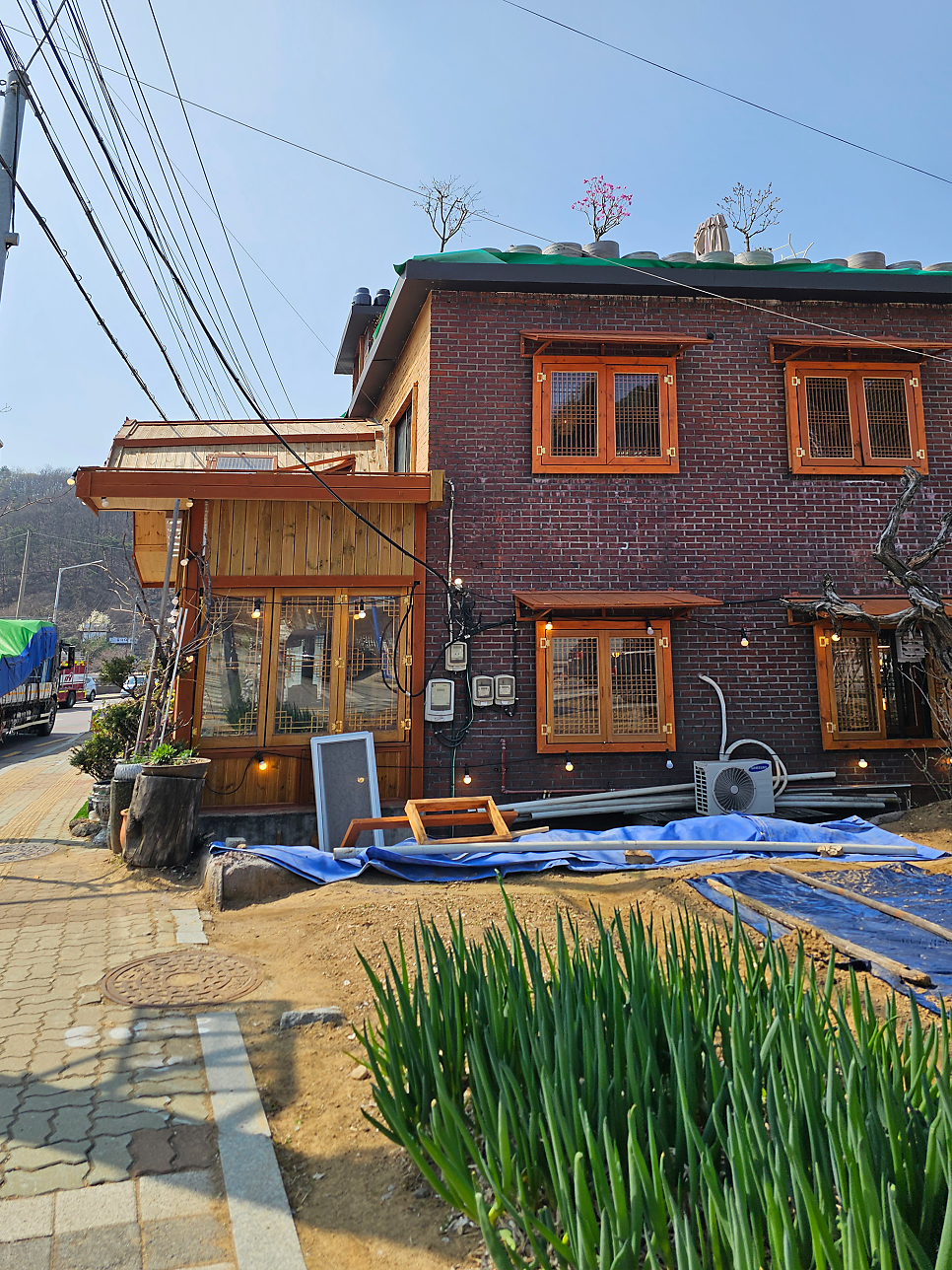 진쌍화탕 사진 3