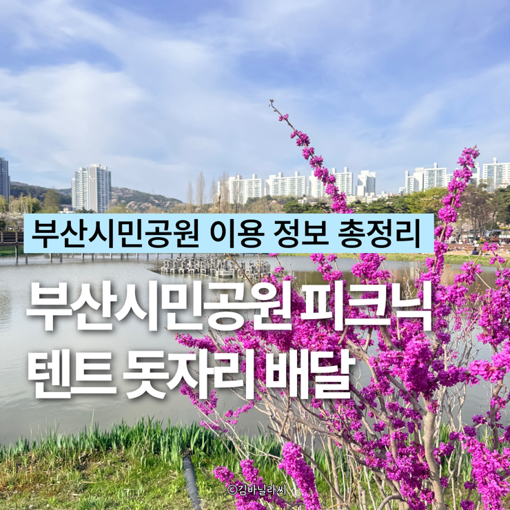  부산가볼만한곳 부산시민공원 꽃구경 피크닉 벚꽃 개화상황 텐트 돗자리 배달