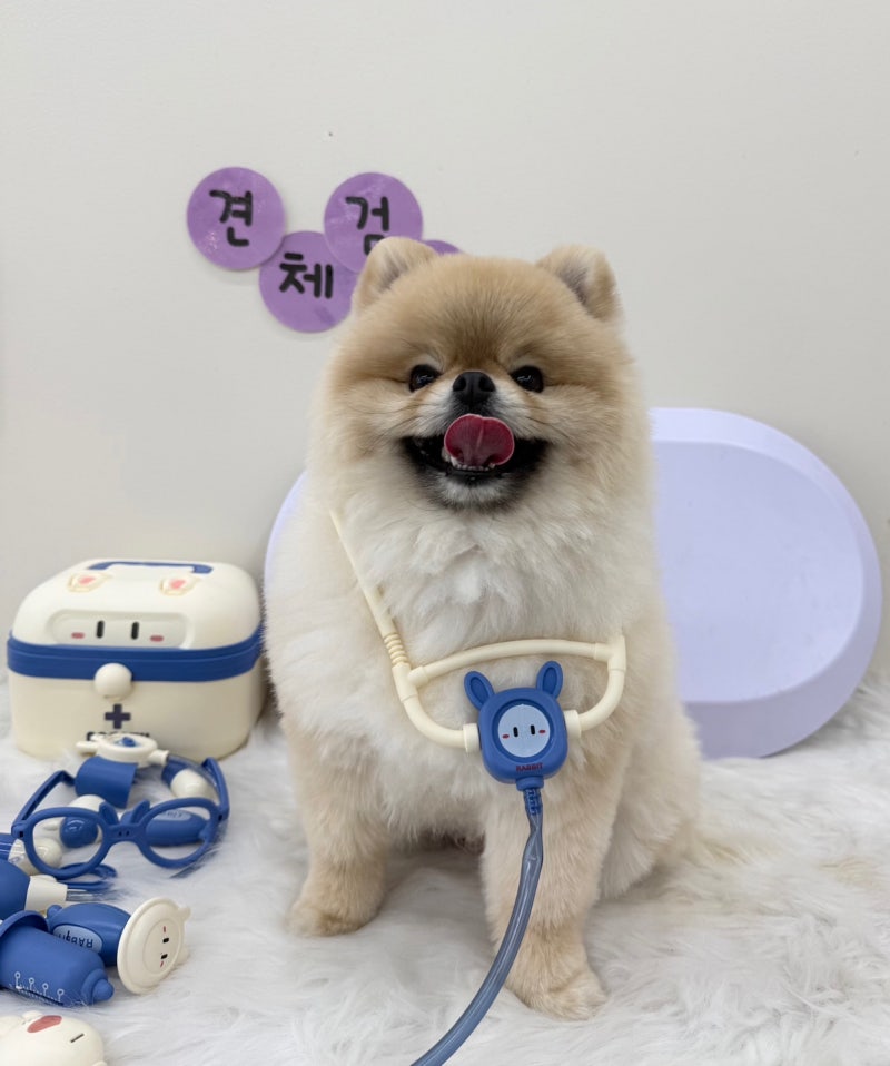 사진 3