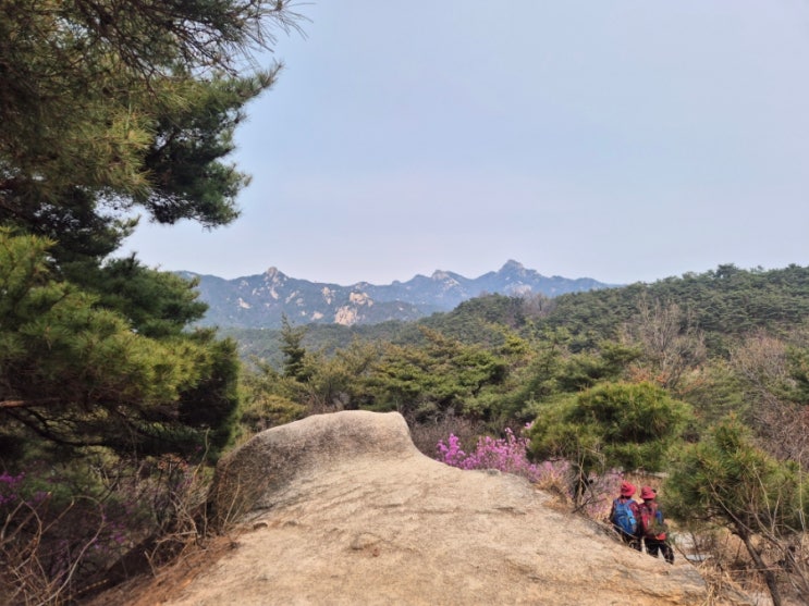  서울둘레길 18~19 코스 14.5km 북한산 종로/성북 코스 총소요 4시간 40분 (중급) feat. 북한산 멧돼지 목격 !!!
