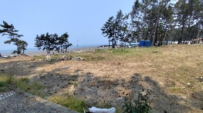  서천 춘장대해수욕장 인근 토지 경매 관광휴양개발지구 내 540평 대지 투자 분석 2025타경15736(2)