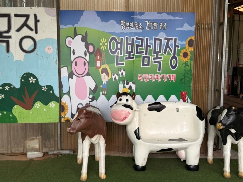 김포 연보람목장 아이랑 체험 후기 체험시간 예약 주차 비용 총정리