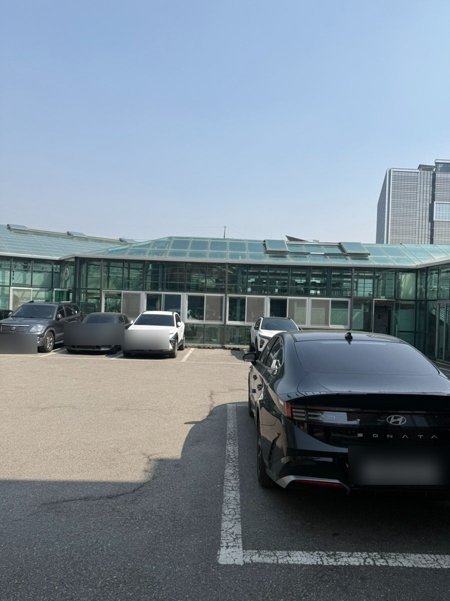 보리촌곤드레 사진 3