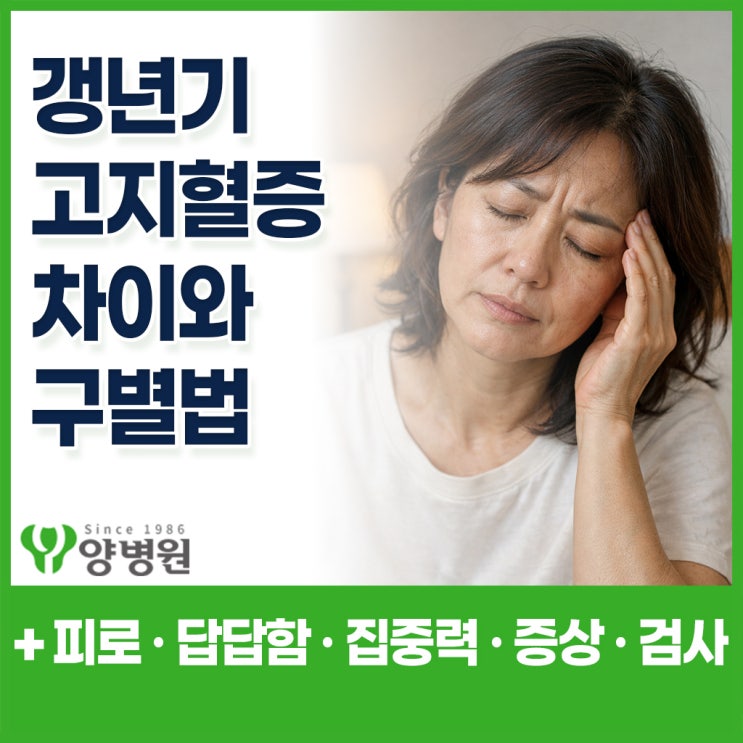  갱년기 vs 고지혈증 차이 – 피로 · 가슴답답함 · 집중력 저하로 차이 구별하는 방법