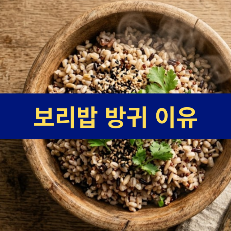  보리밥 잡곡밥 섭취 시 방귀 이유 | 보리밥 잡곡밥 방구 장건강