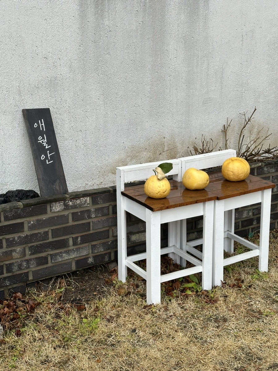 애월안 사진 5