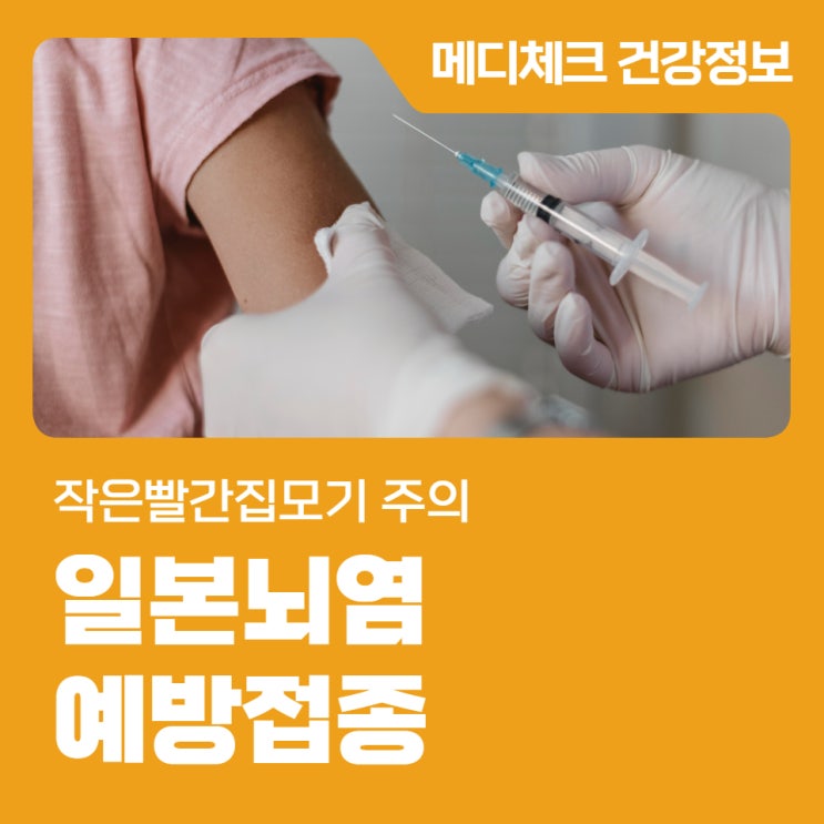 서울 예방접종 <b>일본뇌염</b> 증상 작은빨간집모기 주의