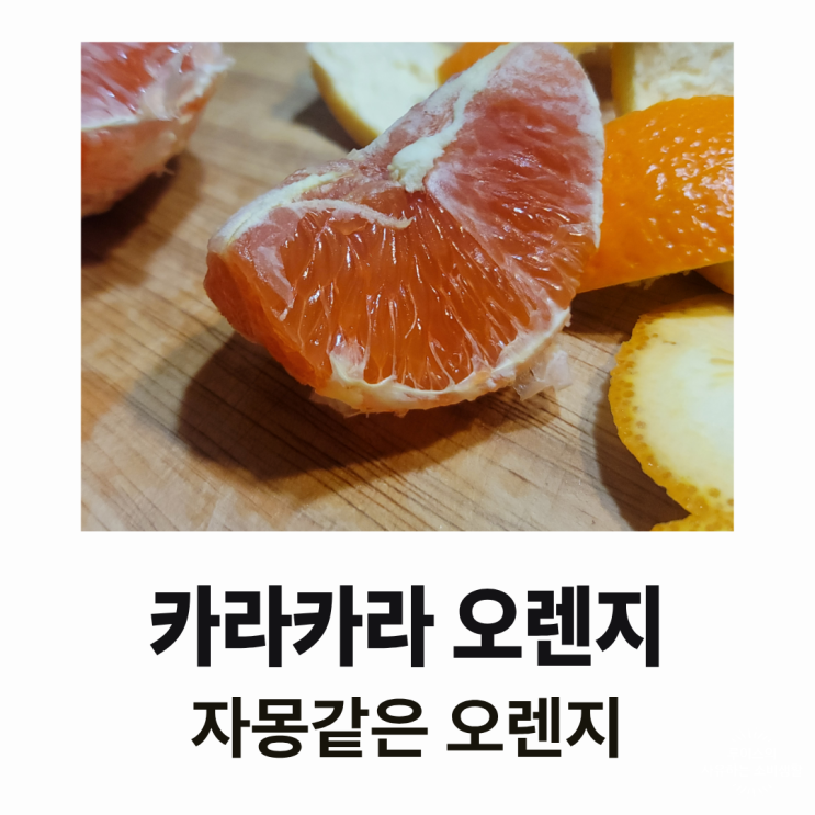  카라카라 오렌지 : 자몽 같은데 자몽이랑 관련은 없음