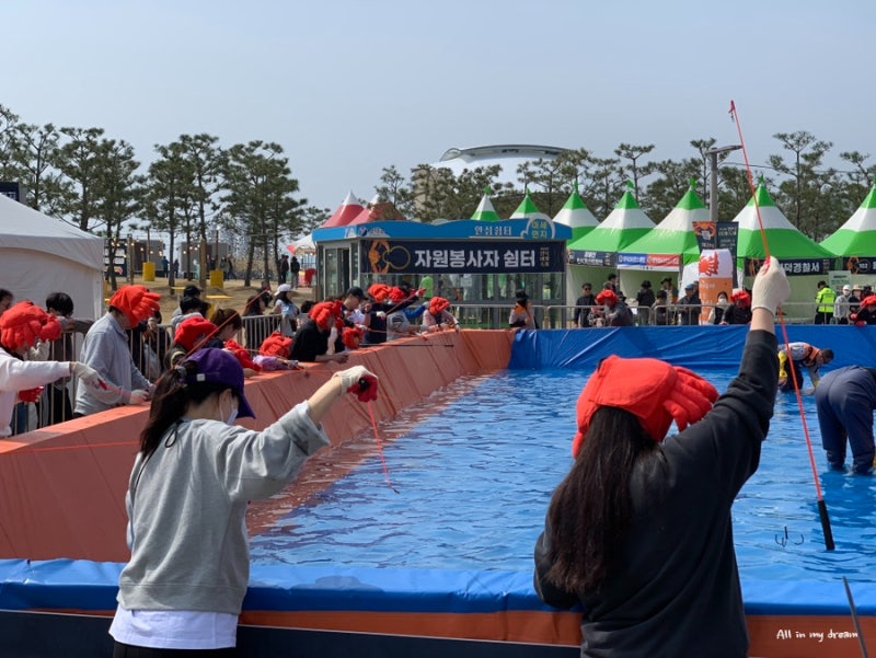 2026 영덕대게축제 후기｜이건 꼭 해봐야 하는 프로그램 총정리