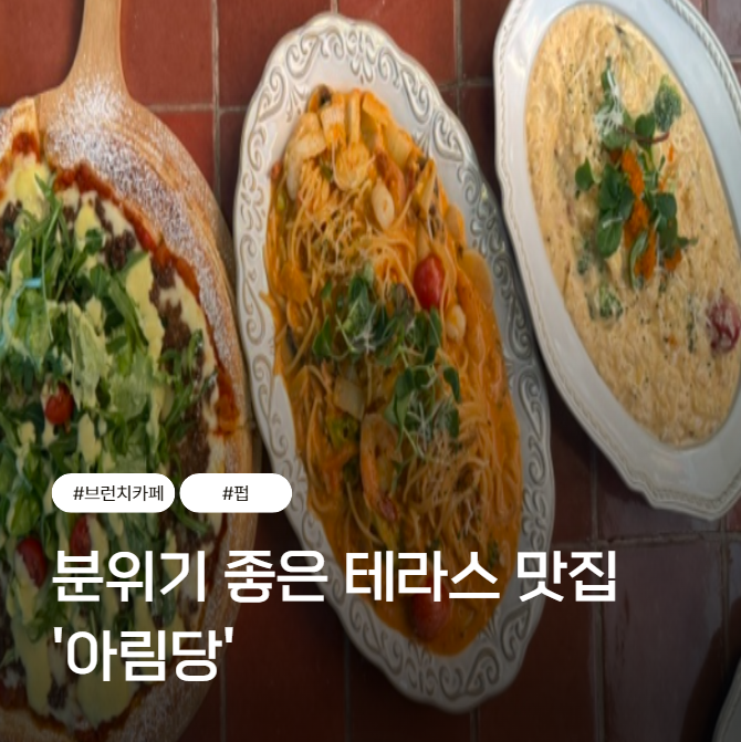 사진 5