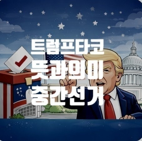  타코 뜻 뭐길래? 2026 트럼프 중간선거 관세 영향까지 정리