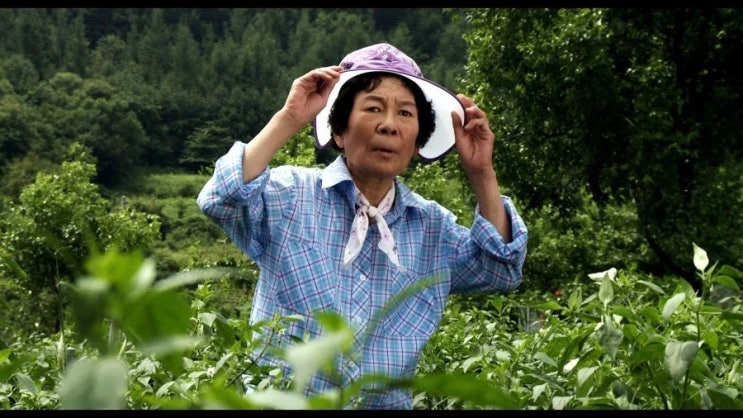  마지막 촬영 뒤 멈춘 발걸음, 원로배우 김진구 별세가 남긴 울림과 과제