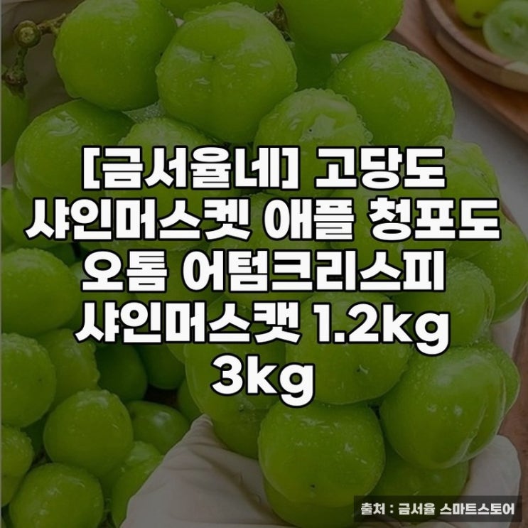  포도 맛의 진수, ‘금서율네’ 샤인머스켓 추천