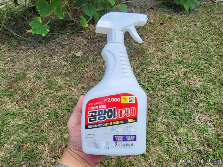  다이소 간편하게 뿌리는 공팡이제거제 내돈내산 구매 후기
