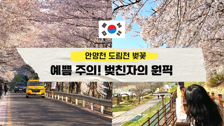 안양천 벚꽃 vs <b>도림천</b> 벚꽃 지금 가장 예쁜 <b>서울</b>둘레길 14코스