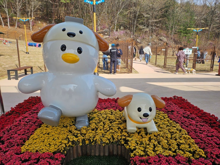  김해댕댕파크 다녀온 후기(운영시간,QR등록방법 등)